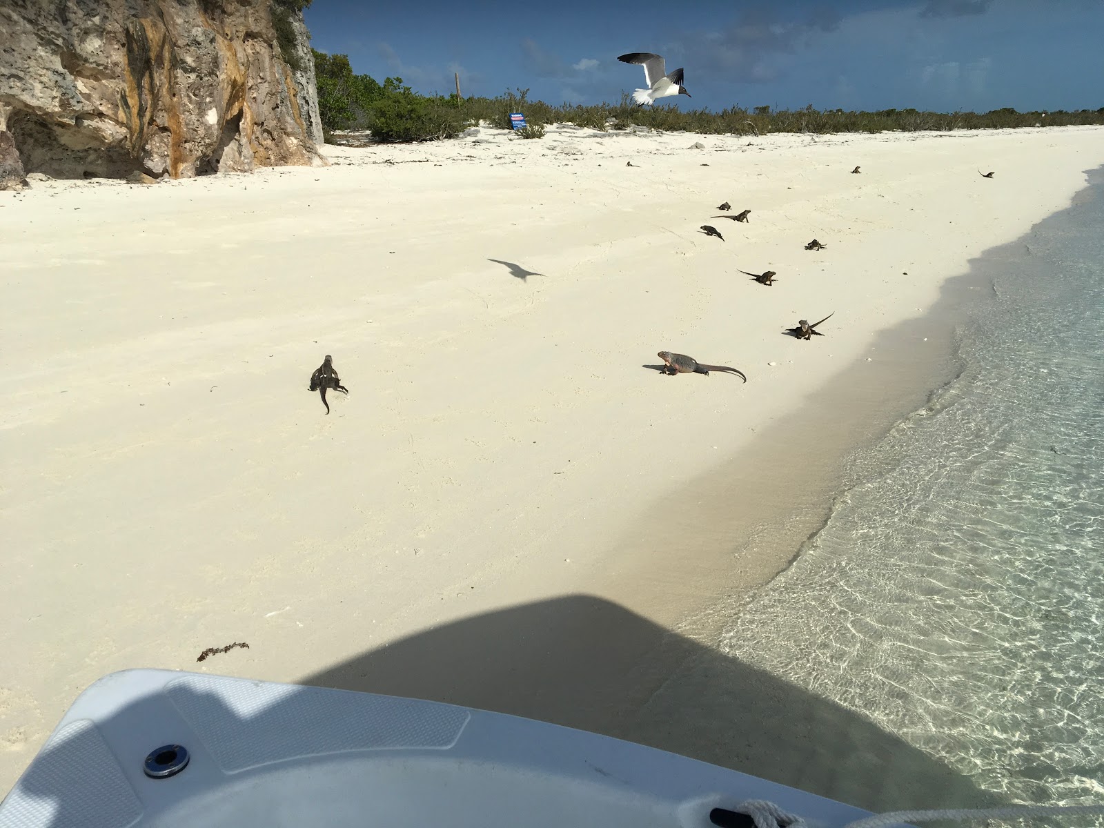 Fotografija Guana Cay beach z beli fini pesek površino