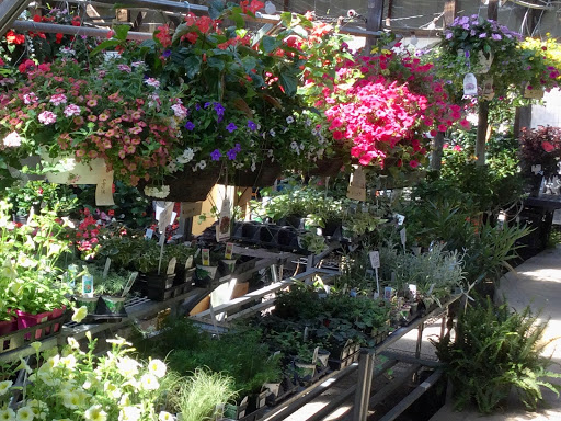 Florist «Sunshine Flowers», reviews and photos, 4509 Rainbow Blvd, Kansas City, KS 66103, USA