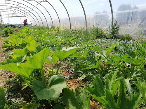 Magasin d'alimentation naturelle Label Terroir Hesperange