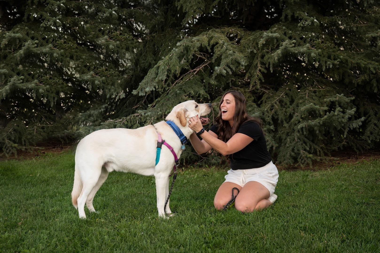 Perfect Pals Dog Training