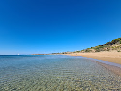 Foto von Gigli Beach befindet sich in natürlicher umgebung
