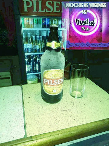 Vivilo pub