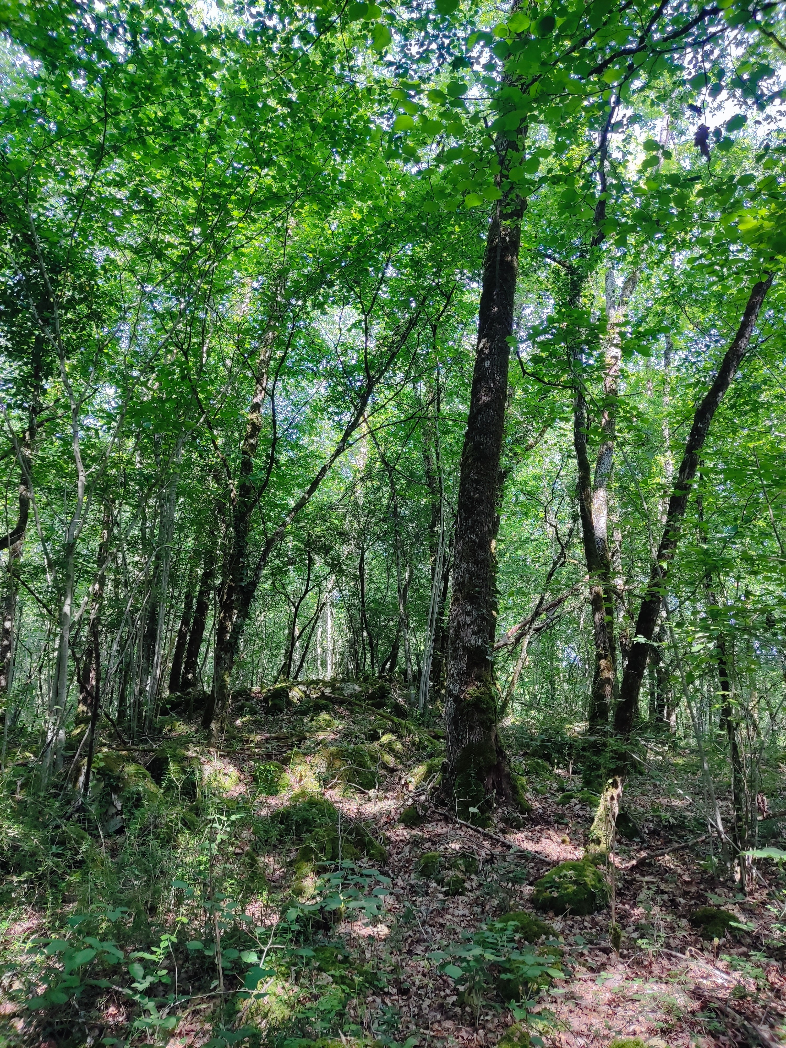 Photo n° 2 de l'avis de serge.a fait le 10/06/2023 à 15:31
