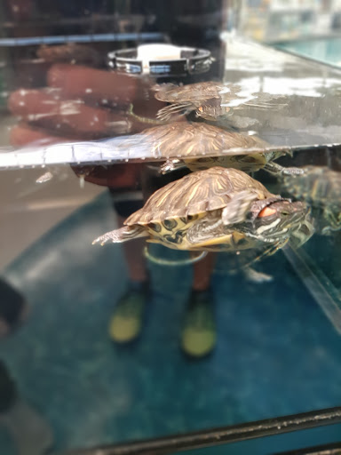 Pet Supply Store «Petco Animal Supplies», reviews and photos, 6672 Lonetree Blvd, Rocklin, CA 95765, USA