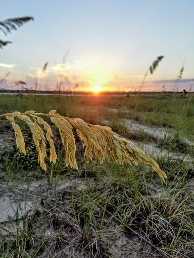 Resort «The Sea Pines Resort», reviews and photos