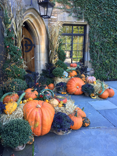 Florist «Greenwich Orchids», reviews and photos, 106 Mason St, Greenwich, CT 06830, USA