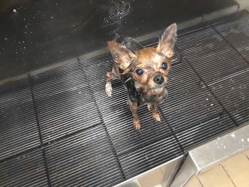 Pet Supply Store «Pet Supplies Plus», reviews and photos, 1616 Precinct Line Rd, Hurst, TX 76054, USA