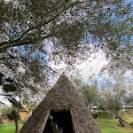 Photo n°2 de l'avis de Veronica.. fait le 28/01/2024 à 13:55 sur le  Azienda Agrituristica Sa Mandra à Alghero