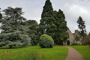 Barnwood Park and Arboretum image