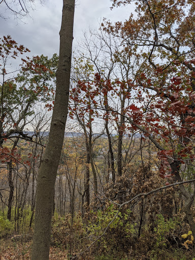 Florist «La Crosse Floral», reviews and photos, 2900 Floral Ln, La Crosse, WI 54601, USA