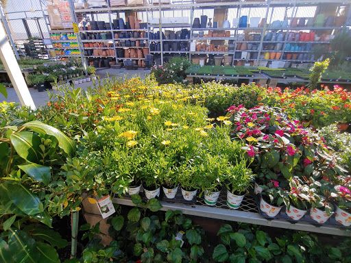 The Home Depot image