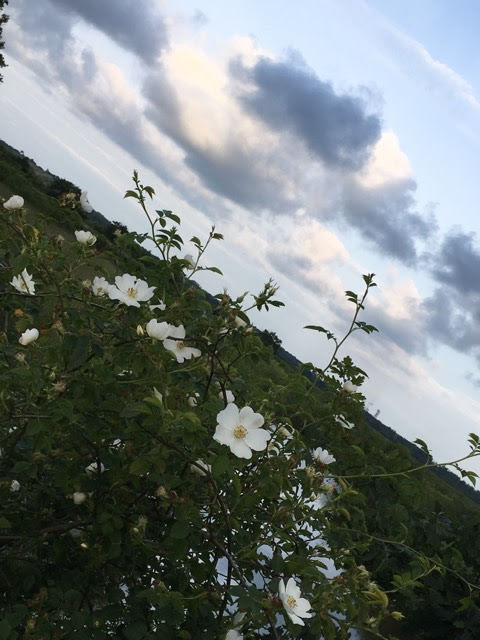 Photo n° 3 de l'avis de Line.r fait le 13/06/2018 à 20:27