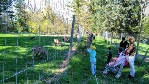 attractions Parc animalier du château de Moidière Bonnefamille