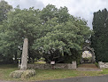 Stèle protohistorique de Locamand La Forêt-Fouesnant