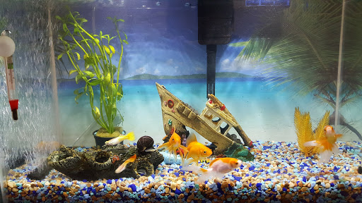 Pet Supply Store «Petco Animal Supplies», reviews and photos, 525 S 5th St, Bismarck, ND 58504, USA