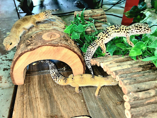 Pet Supply Store «E & M Pet Shop», reviews and photos, 5900 Whittier Blvd, Los Angeles, CA 90022, USA