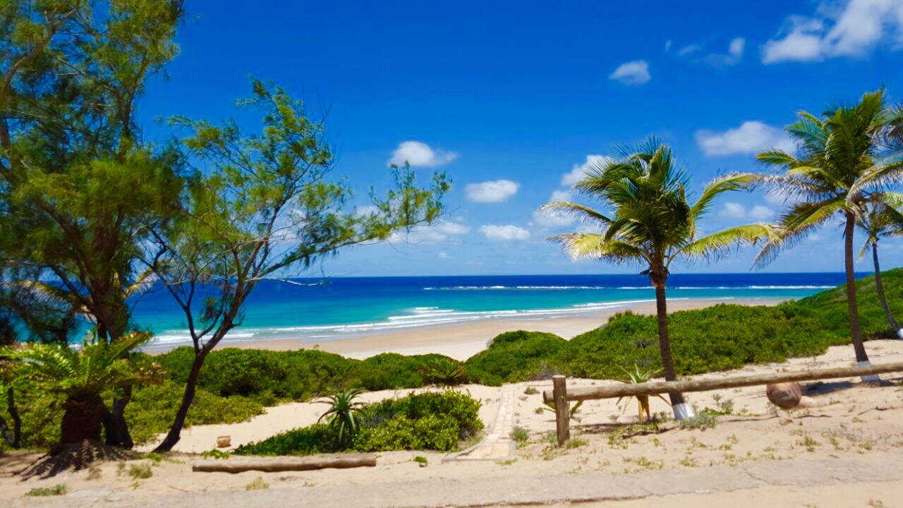 Foto de Coconut Bay Cabanas - bom local amigável para animais de estimação para férias