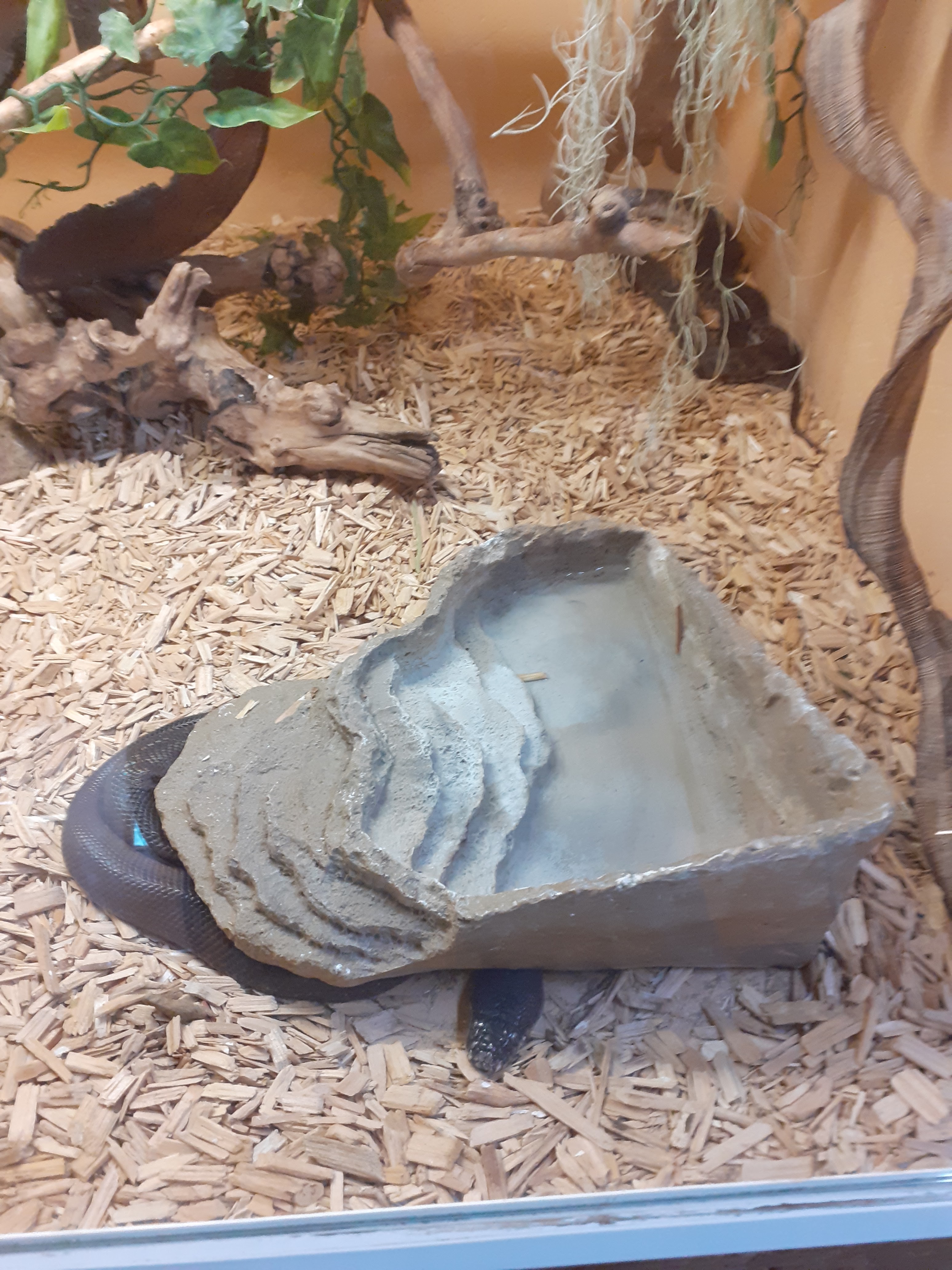 Photo n° 7 de l'avis de valjeux. fait le 26/07/2022 à 11:30