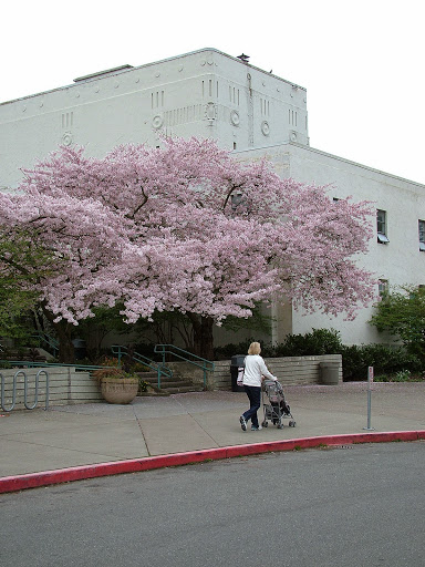 Community Center «Green Lake Community Center», reviews and photos, 7201 East Green Lake Dr N, Seattle, WA 98115, USA