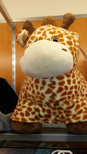 Department Store «T.J. Maxx», reviews and photos, 444 State Rd, North Dartmouth, MA 02747, USA