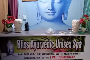 Bliss ayurvedic unisex spa image