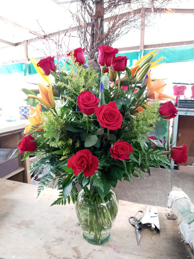 Florist «TGF Flowers», reviews and photos, 3902 Fannin St, Houston, TX 77004, USA