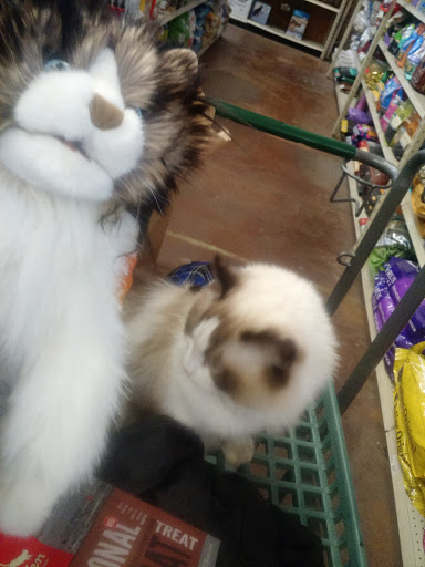 Pet Supply Store «Concord Feed Pet & Livestock Supplies», reviews and photos, 228 Hookston Rd, Pleasant Hill, CA 94523, USA