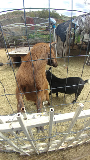 Horseback Riding Service «Spur Cross Stables», reviews and photos, 44029 N Spur Cross Rd, Cave Creek, AZ 85331, USA