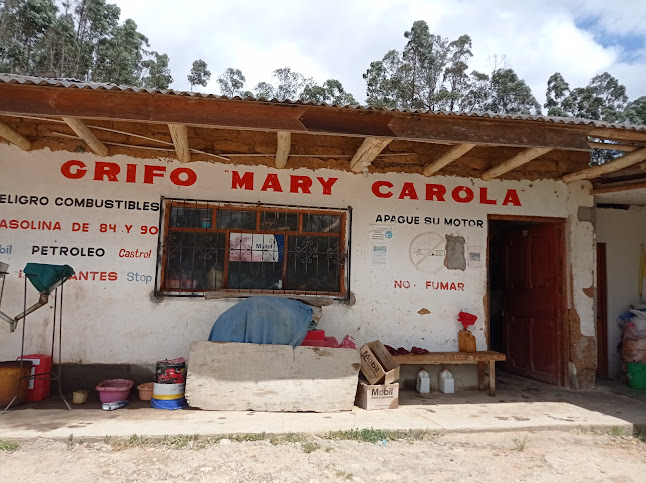 Opiniones de Grifo Rural Agrícola MARY CAROLA en Lamud - Gasolinera