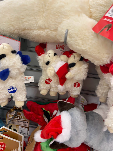 Department Store «T.J. Maxx», reviews and photos, 808 New Los Angeles Ave, Moorpark, CA 93021, USA