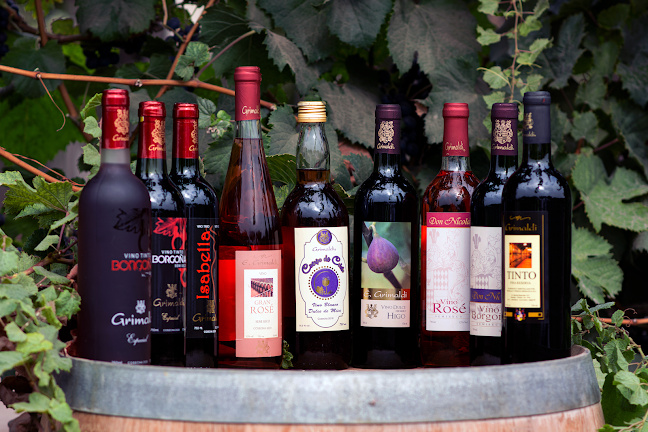Comentarios y opiniones de Bodegas y Viñedos Grimaldi