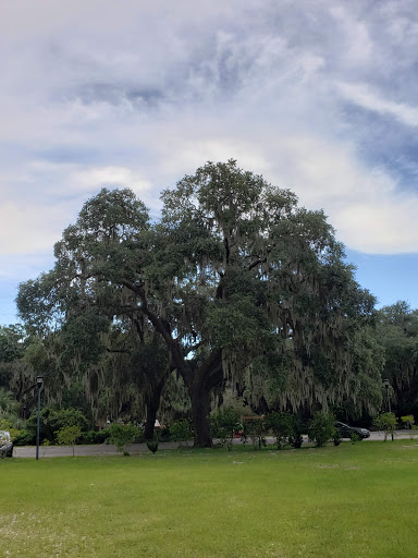 Park «Pigeon Point Park», reviews and photos, 1521 Pigeon Point Rd, Beaufort, SC 29902, USA
