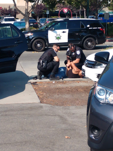 Nissan Dealer «Autocom Nissan Of Walnut Creek», reviews and photos, 1840 N Main St, Walnut Creek, CA 94596, USA