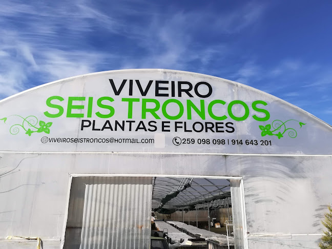 Viveiros Seis Troncos - Plantas E Flores, Lda.