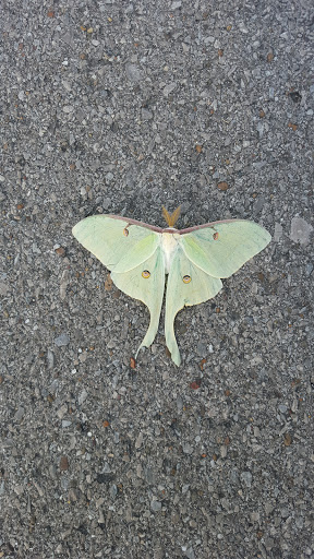 Park «Owl Creek Park», reviews and photos, 9751 Concord Rd, Brentwood, TN 37027, USA