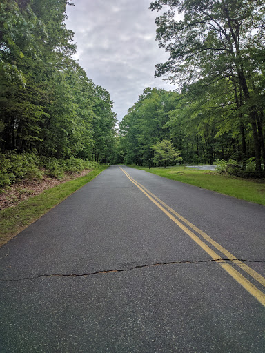 State Park «Hopkinton State Park», reviews and photos, 164 Cedar St, Hopkinton, MA 01748, USA
