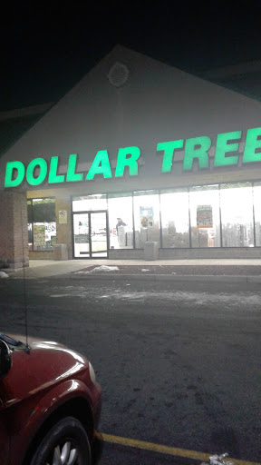 Dollar Store «Dollar Tree», reviews and photos, 1030 Forrest Ave #119, Dover, DE 19904, USA