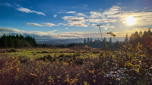 Park «Cooper Mountain Nature Park», reviews and photos, 18892 SW Kemmer Rd, Beaverton, OR 97007, USA