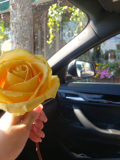 Florist «J.W. Becker Flowers & Gifts», reviews and photos, 225 Jericho Turnpike, Floral Park, NY 11001, USA