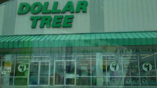 Dollar Store «Dollar Tree», reviews and photos, 405 S Main St #103, Salem, IN 47167, USA