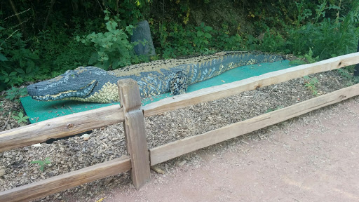 Zoo «Tropic World», reviews and photos, 3300 Golf Rd, Brookfield, IL 60513, USA