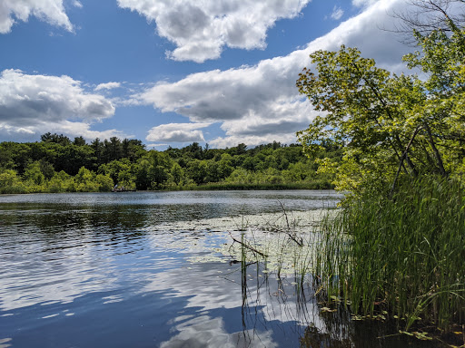Hiking Area «Stony Brook Reservation», reviews and photos, Turtle Pond Pkwy, Hyde Park, MA 02136, USA