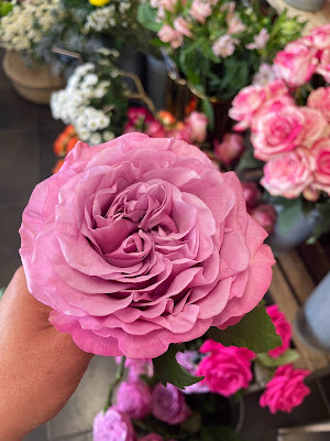 MIDI FLOR 11 à Béziers