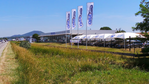 Photo 1 - Demo'Cat 26 Subaru