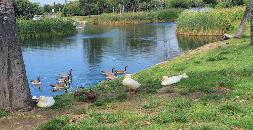 Park «Wilderness Park», reviews and photos, 10999 Little Lake Rd, Downey, CA 90241, USA