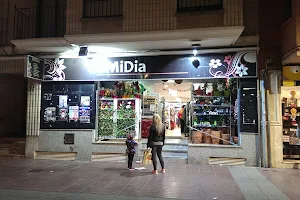 MIDIA canals image