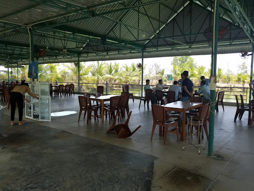 Câu Cá Giải Trí Cường Máy