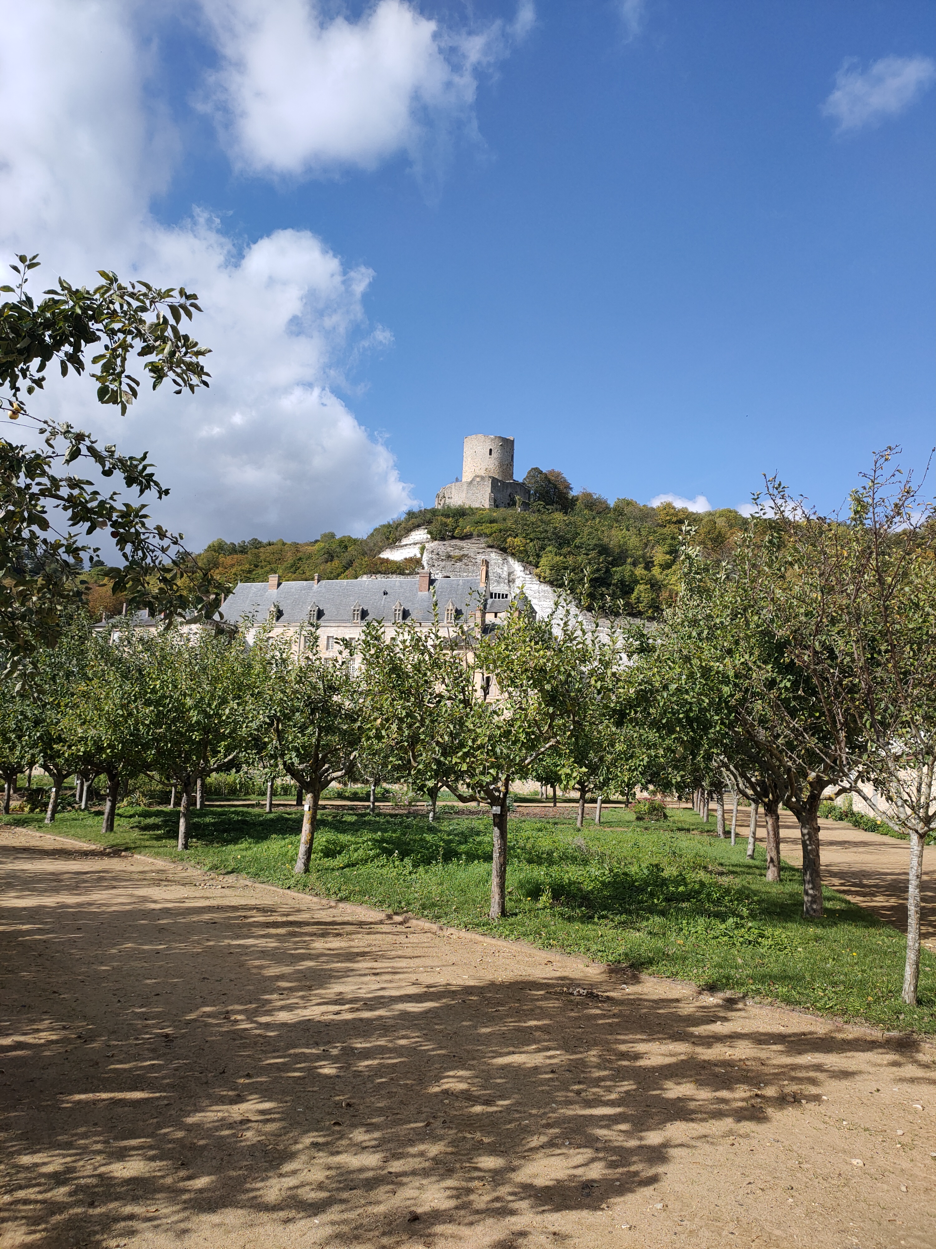 Photo n° 4 de l'avis de Olivia.r fait le 22/12/2020 à 13:31