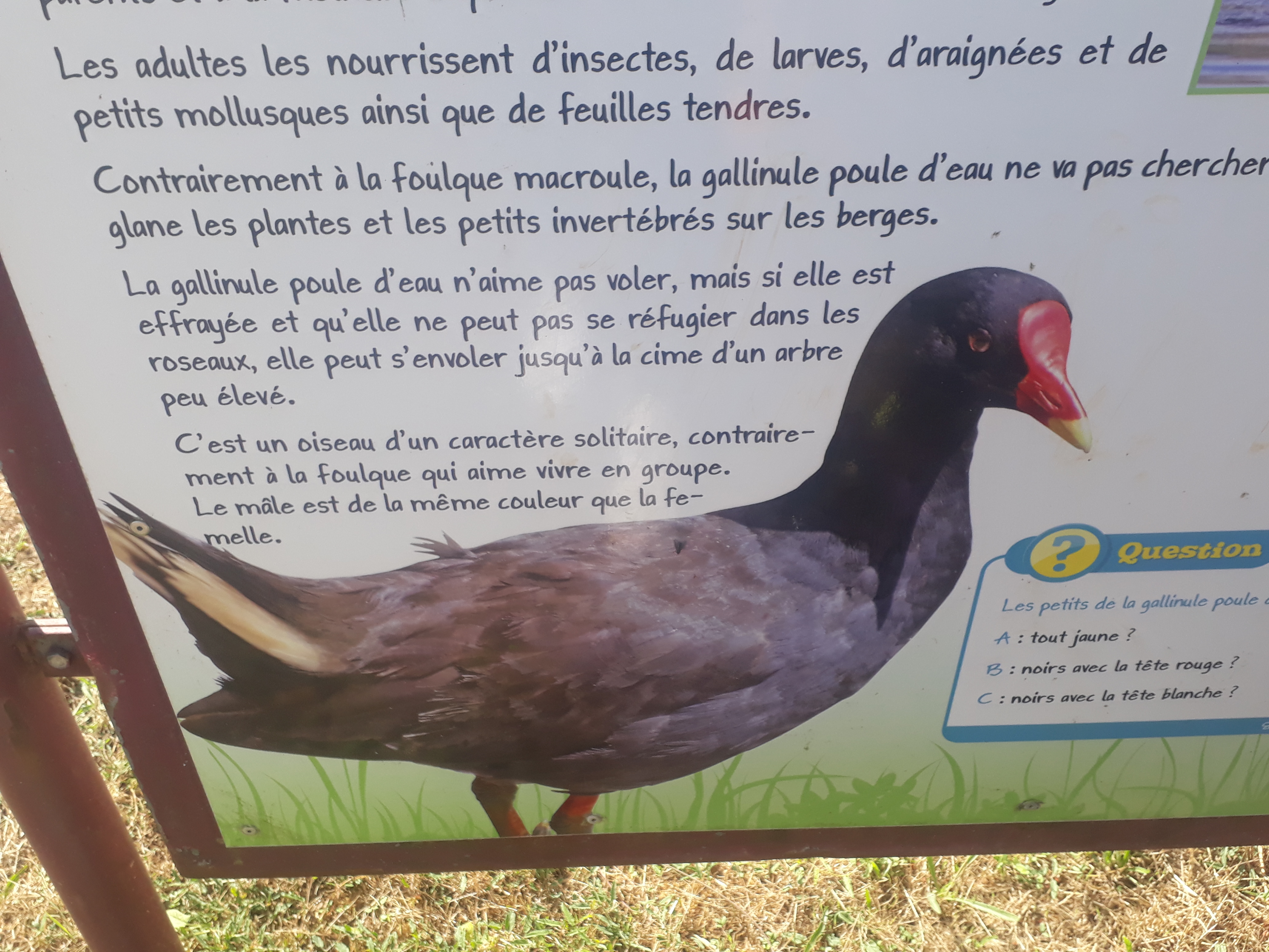 Photo n° 10 de l'avis de Karine.o fait le 13/08/2019 à 20:41
