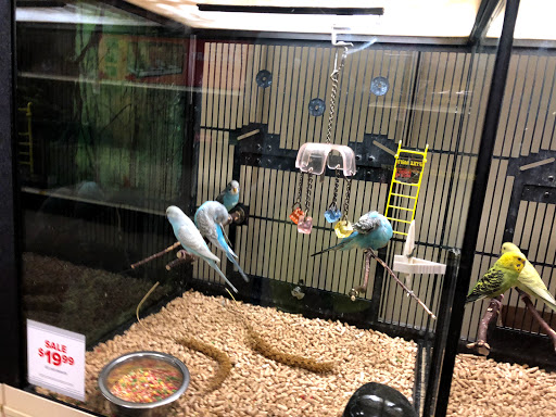 Pet Supply Store «PetSmart», reviews and photos, 6060 Long Prairie Rd, Flower Mound, TX 75028, USA